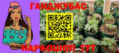 сатива Волжский