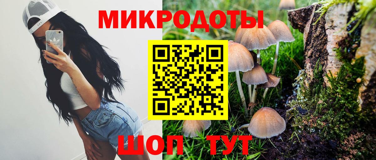 Галлюциногенные грибы GOLDEN TEACHER  купить наркотики цена  Наро-Фоминск  Вход с VPN 