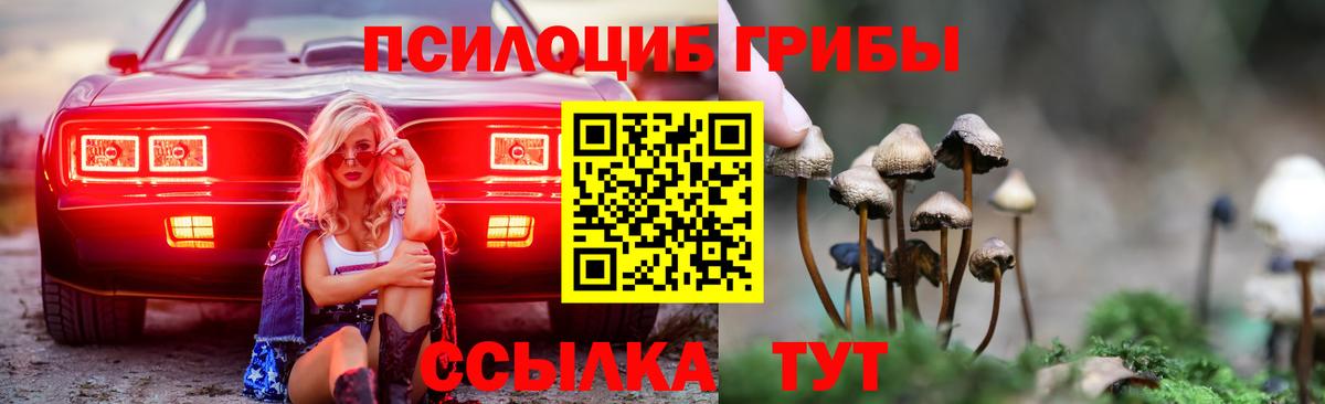 Галлюциногенные грибы Psilocybe Наро-Фоминск